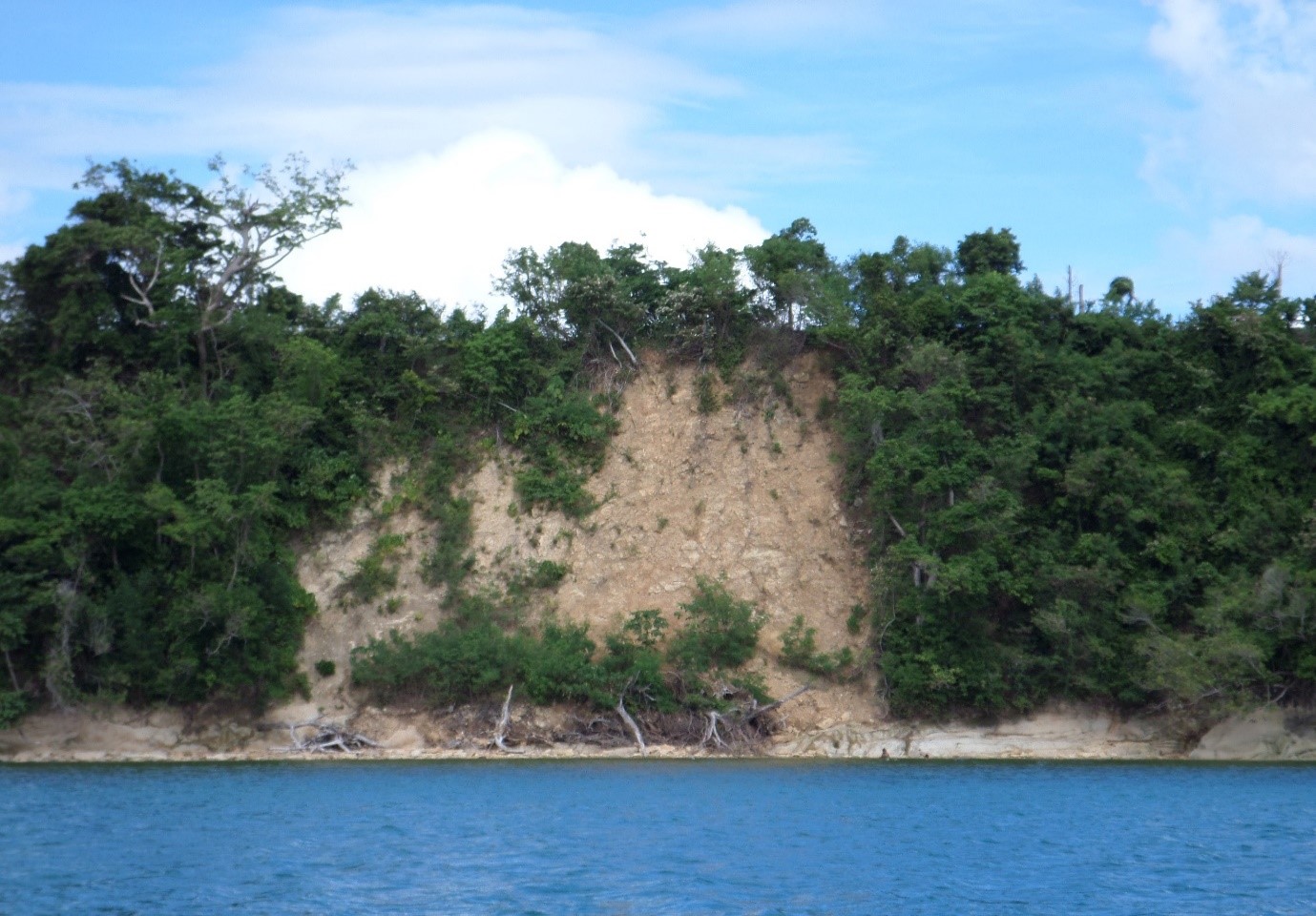 Brgy. LibagongVillaba  Leyte