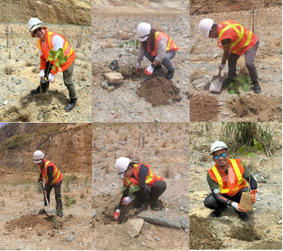 CLRFSC MRFC tree planting event 2
