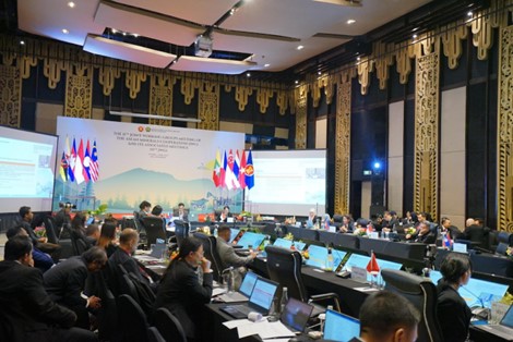 11th ASOMM working group meeting 5