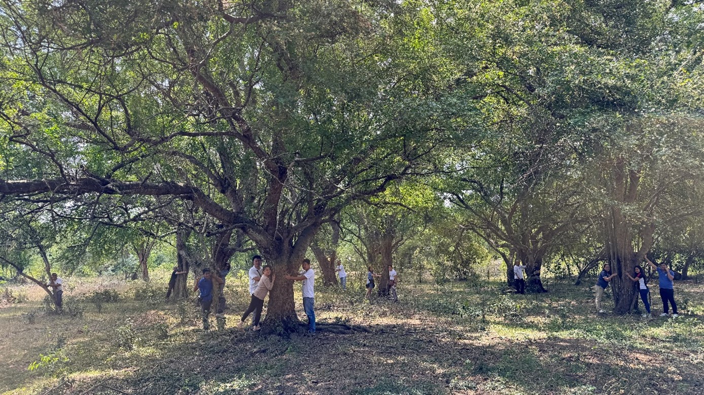 MSESDD tree hugging CALABARZON