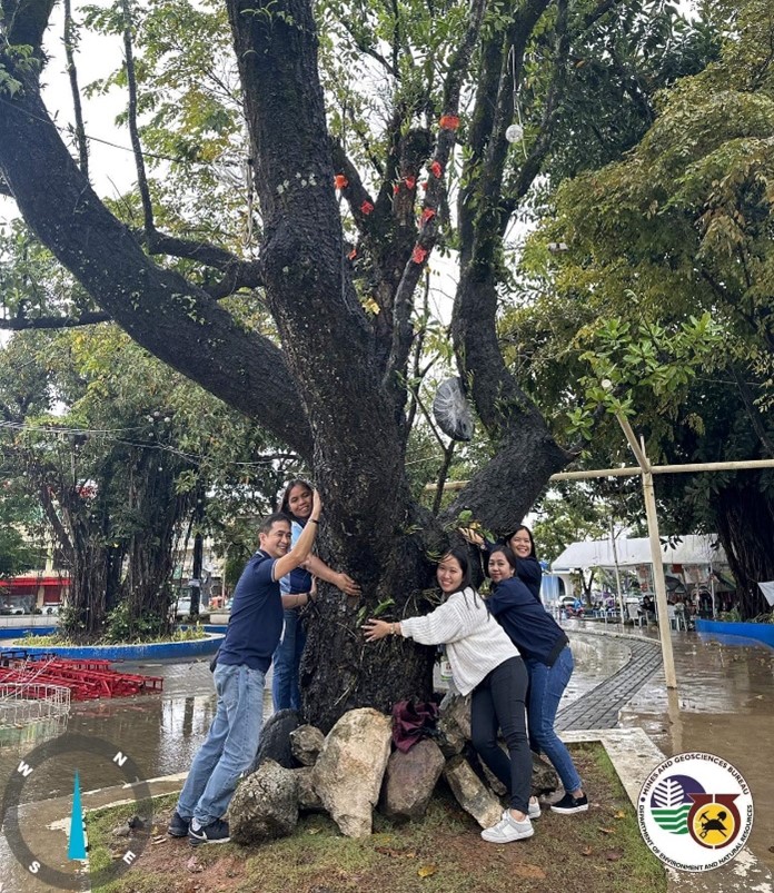 MSESDD tree hugging R13