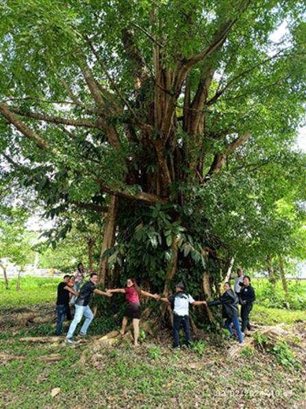 MSESDD tree hugging R8