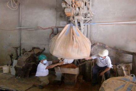 Pulverizing using Hammer Mill