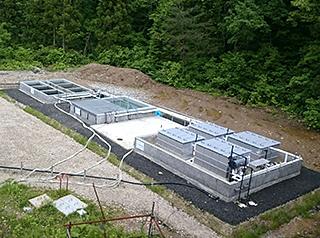 passive treatment test plant