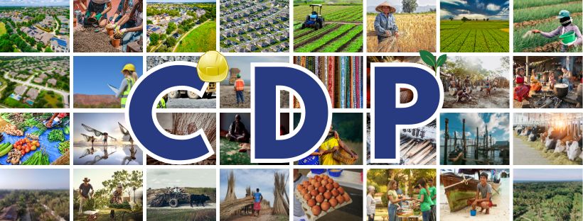 cdp banner