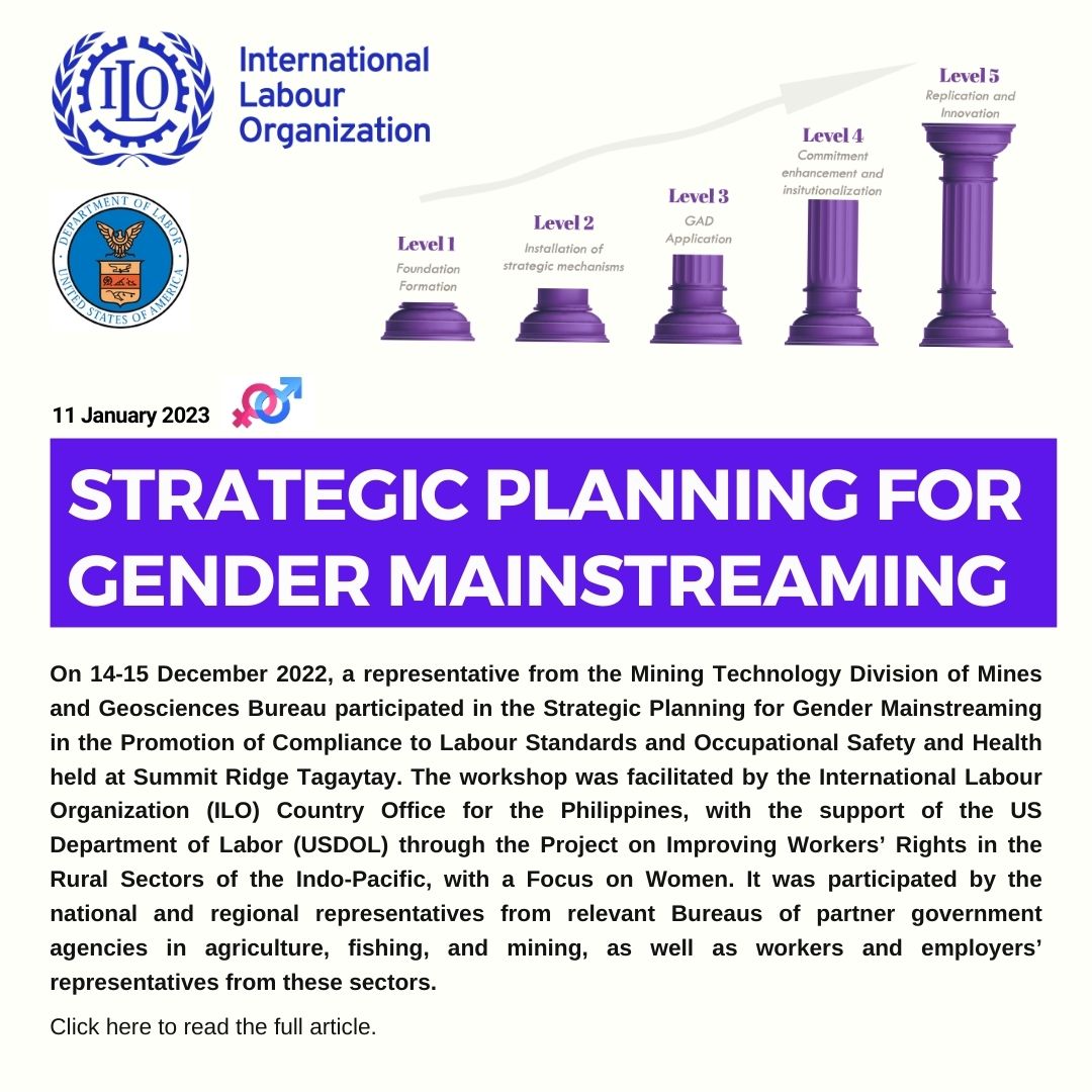 Strategic Planning for Gender Mainstreaming