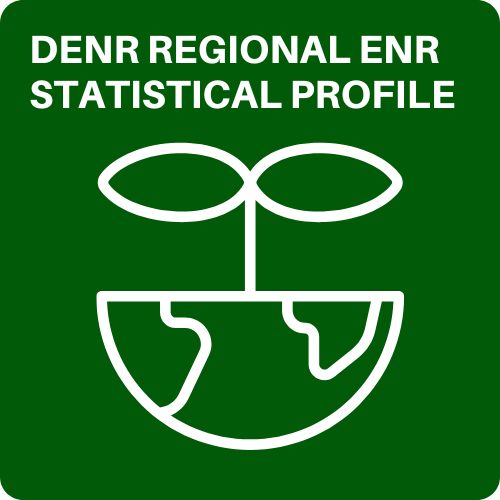 DENR REGIONAL ENR STATISTICAL PROFILE