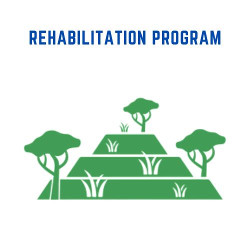 rehabprogram
