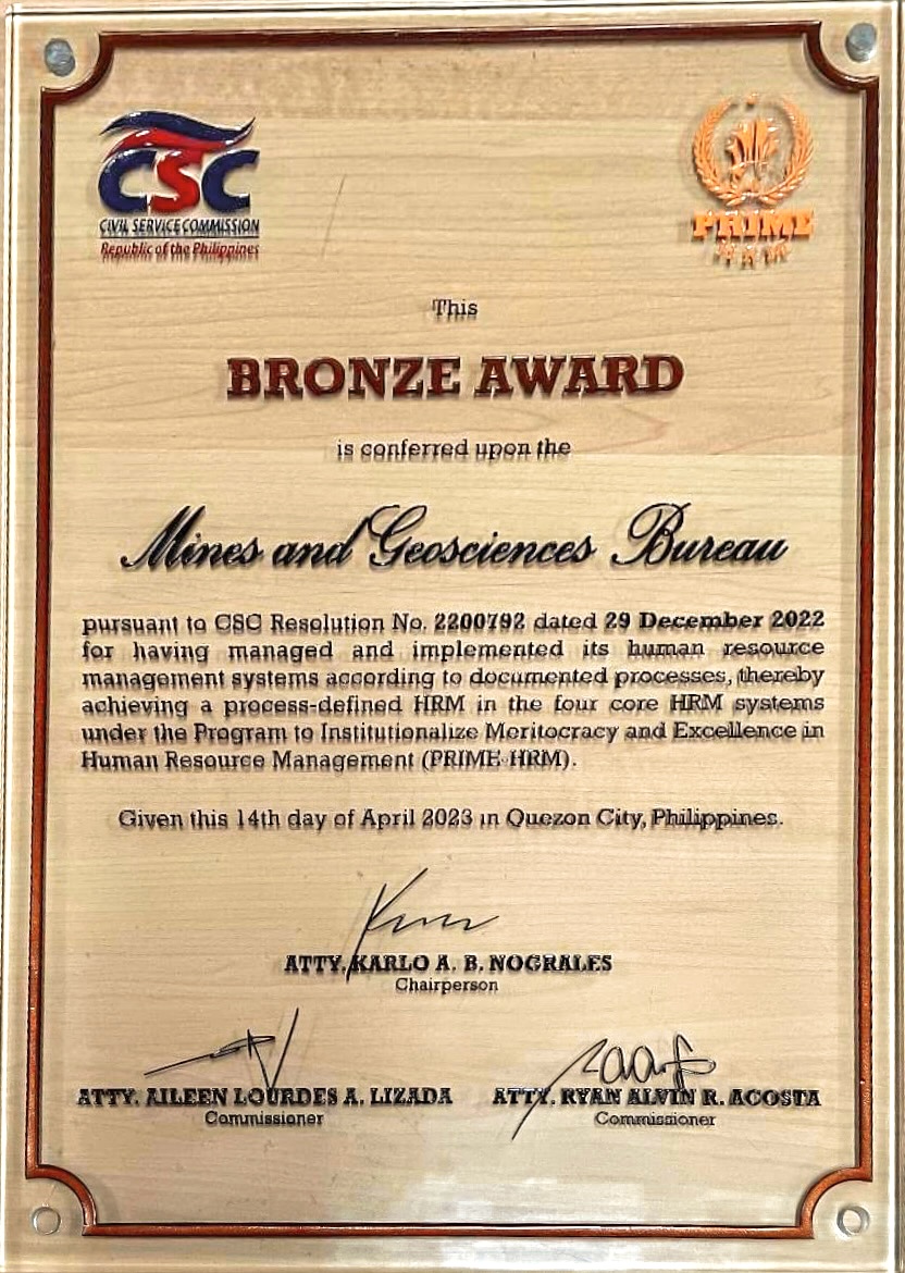 CSC Bronze Award 2